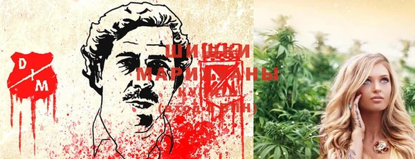 МДПВ Алзамай