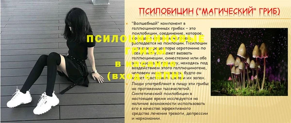 ГАЛЛЮЦИНОГЕННЫЕ ГРИБЫ Абдулино