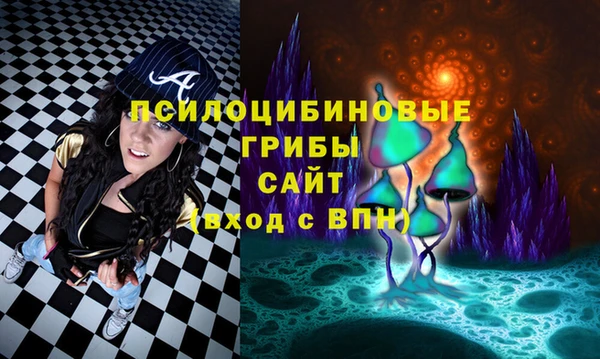 твердый Алексеевка