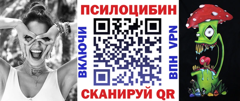 купить наркотик  Богородск  Псилоцибиновые грибы мицелий 