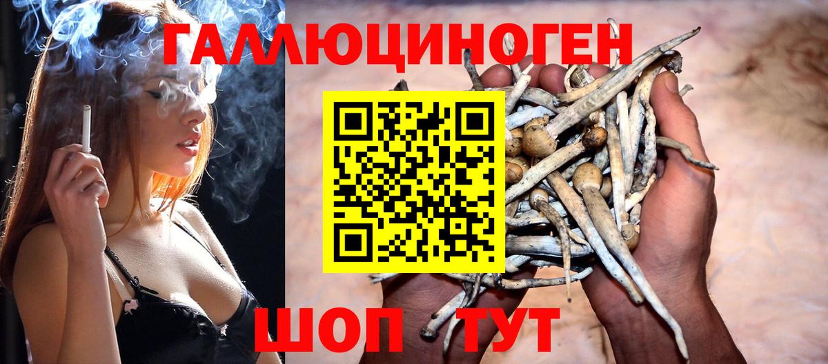 Галлюциногенные грибы мухоморы  Вход с VPN  как найти закладки  Галлюциногенные грибы Psilocybine cubensis  Богородск 
